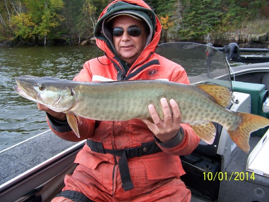 Maskinongé