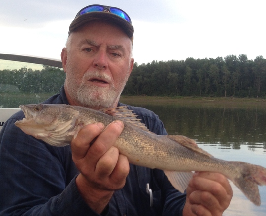 Doré noir