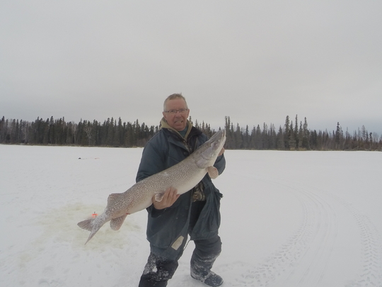 Grand brochet