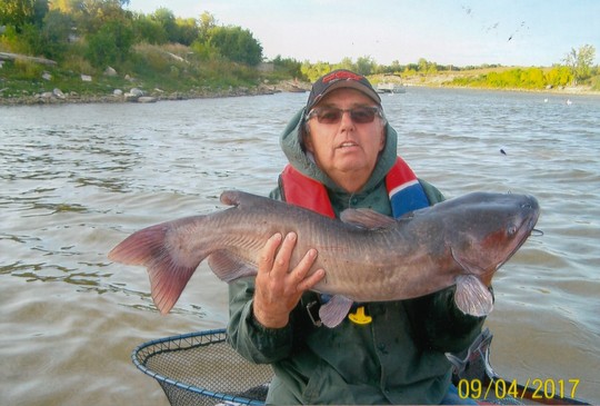 Barbue de rivière