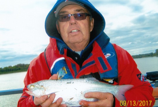 Goldeye