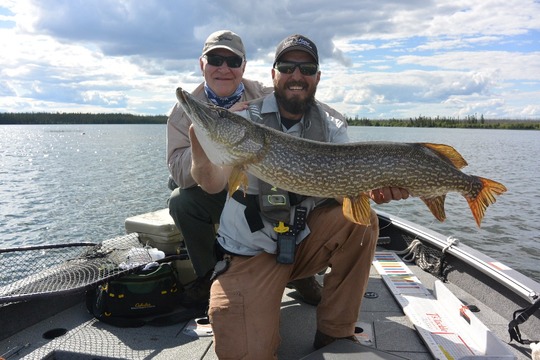 Grand brochet