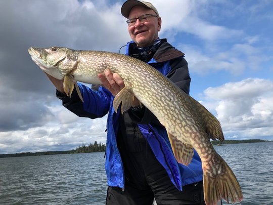 Grand brochet
