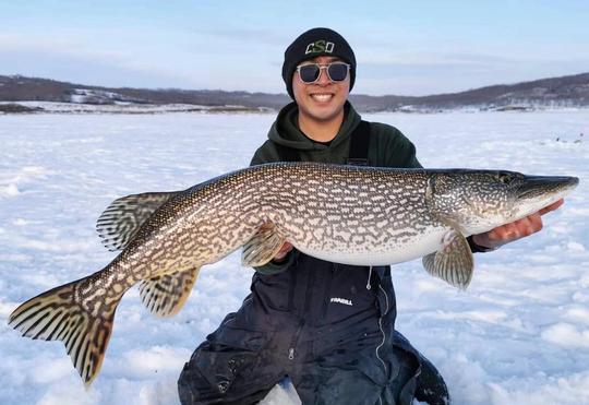 Grand brochet