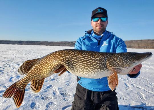Grand brochet
