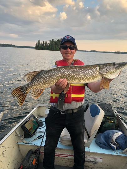 Grand brochet