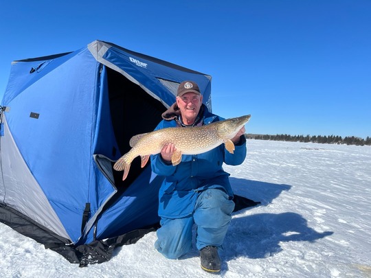 Grand brochet