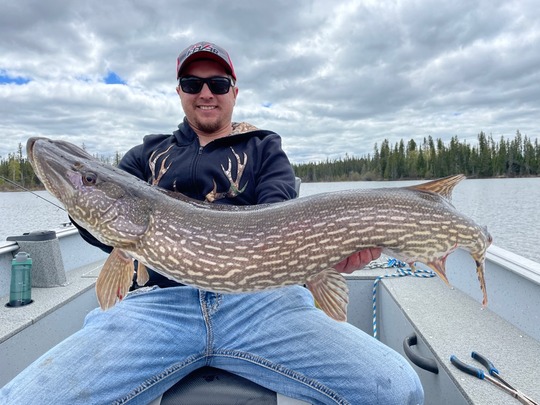 Grand brochet