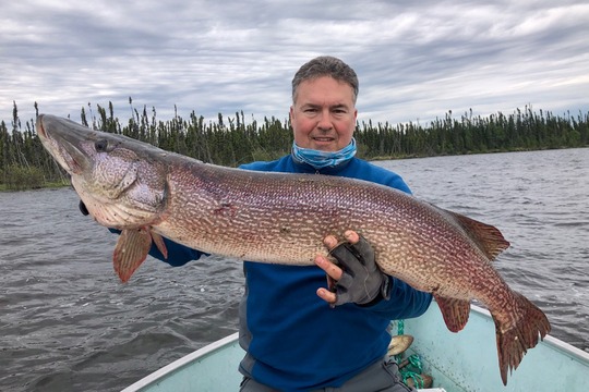 Grand brochet