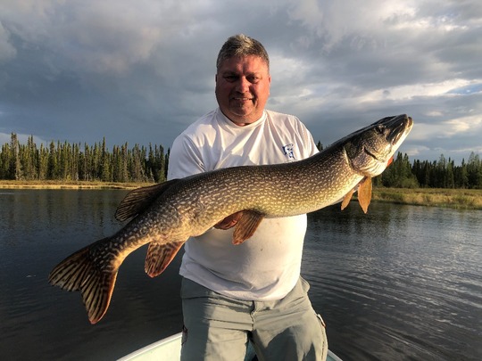 Grand brochet