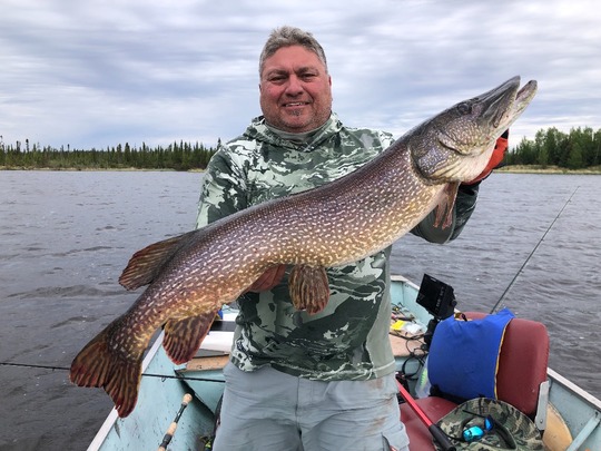 Grand brochet