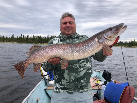 Grand brochet