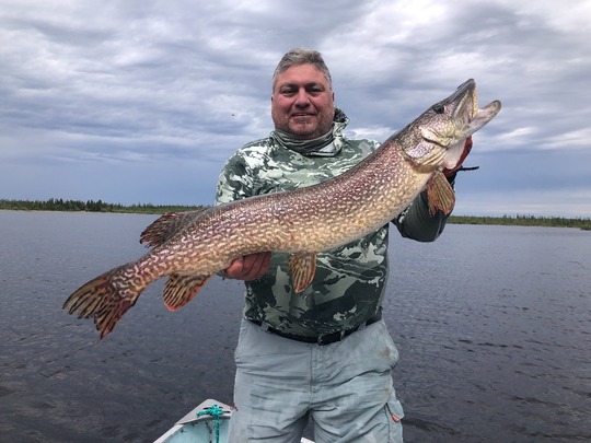 Grand brochet