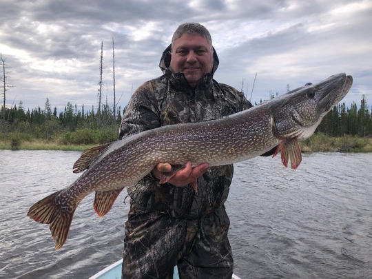 Grand brochet