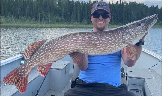 Grand brochet
