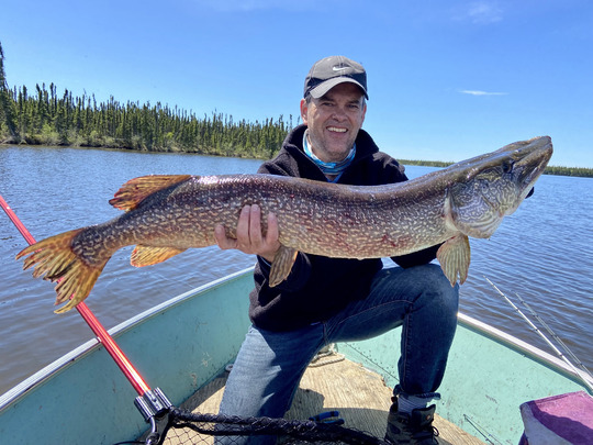 Grand brochet