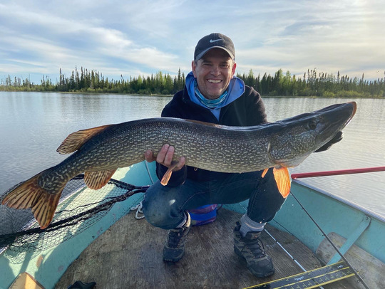 Grand brochet
