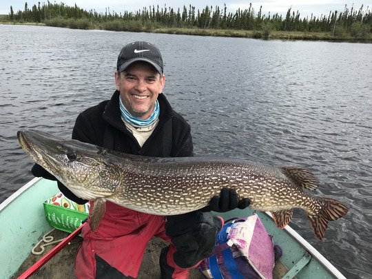 Grand brochet