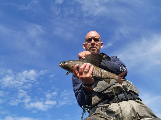 Ombre arctique