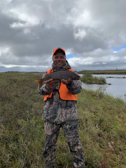 Ombre arctique