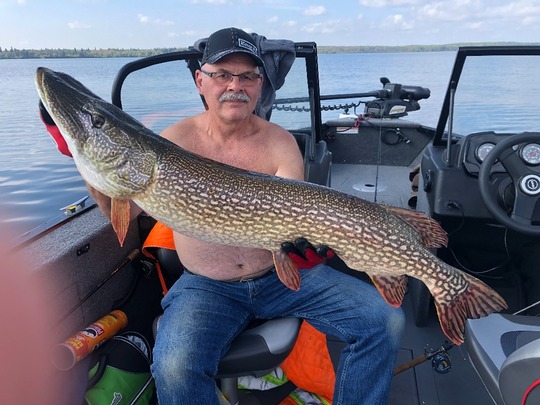 Grand brochet