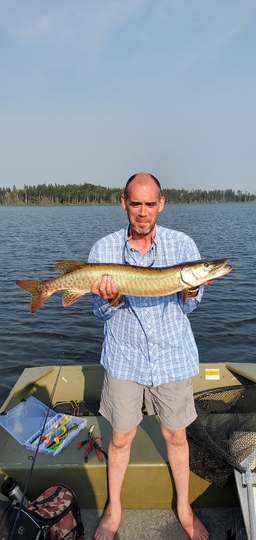 Maskinongé