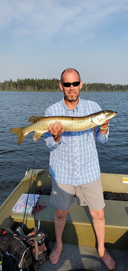 Maskinongé