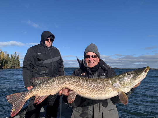Grand brochet