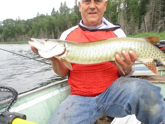 Maskinongé