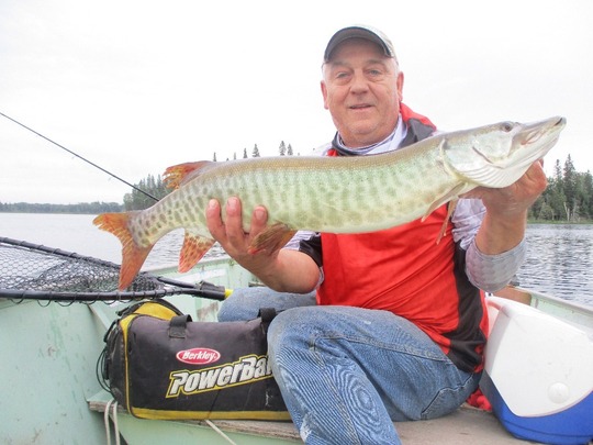 Maskinongé