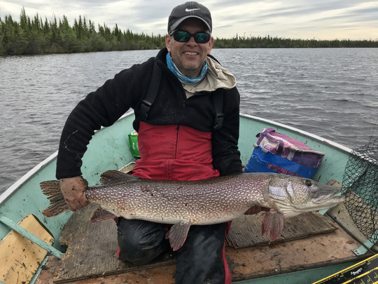 Grand brochet