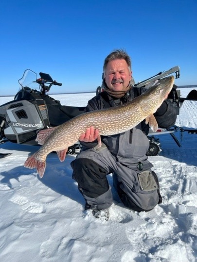 Grand brochet