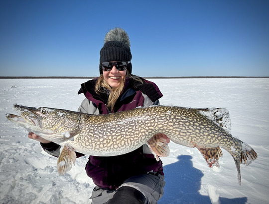 Grand brochet