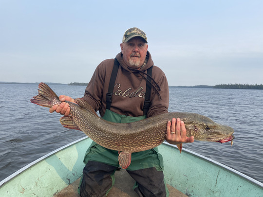Grand brochet