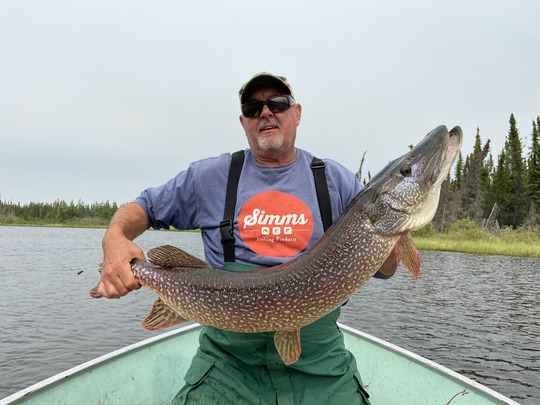 Grand brochet