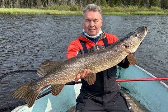 Grand brochet