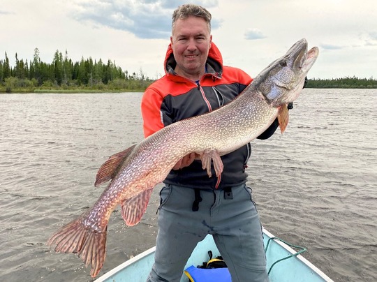 Grand brochet
