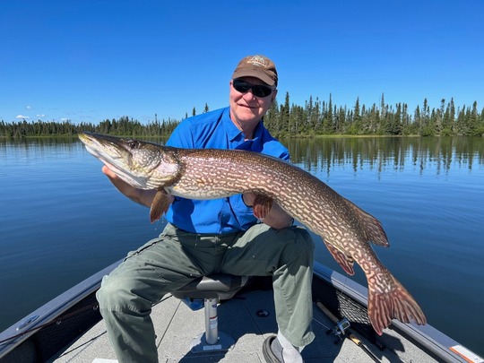 Grand brochet