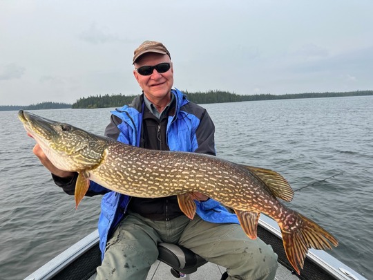 Grand brochet
