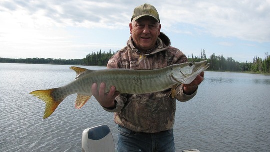 Maskinongé