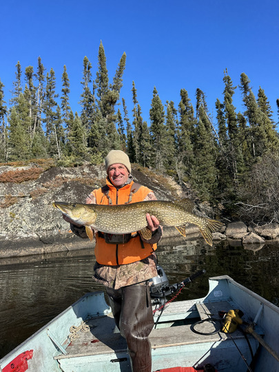 Grand brochet