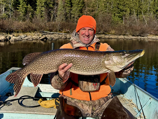 Grand brochet