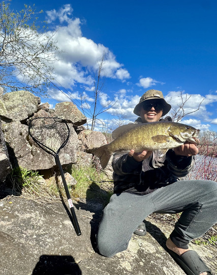 Achigan à petite bouche