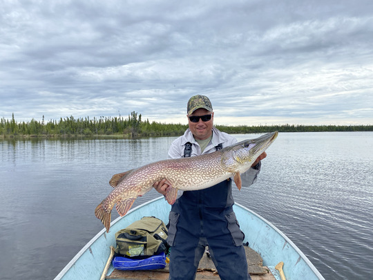 Grand brochet