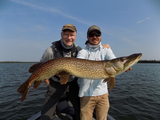 Grand brochet