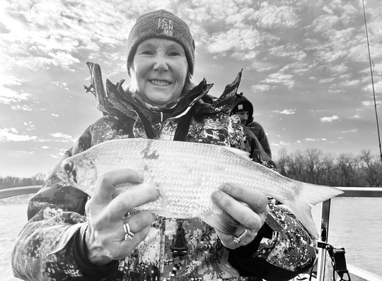 Laquaiche aux yeux d’or