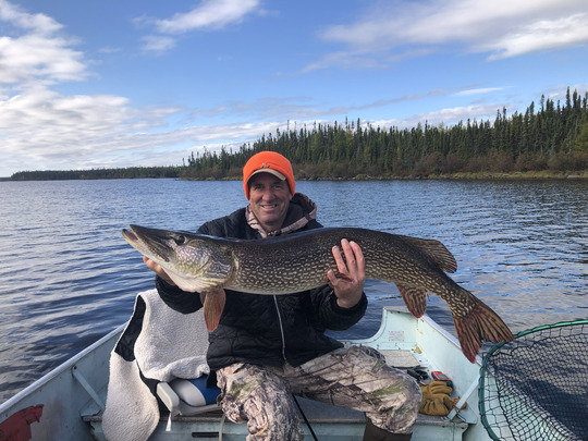 Grand brochet