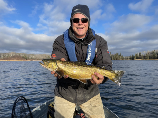 Truite tigrée