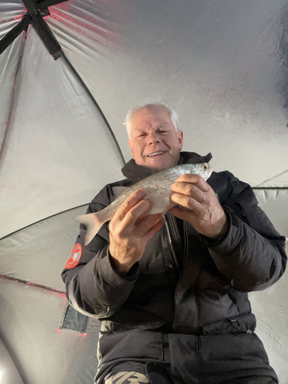 Goldeye