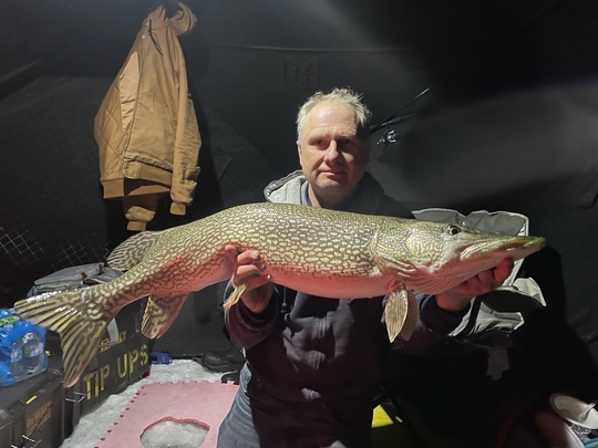 Grand brochet